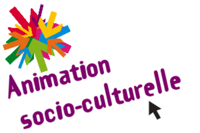 Aparicion termino 'animation socioculturelle"