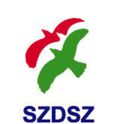 A párttá alakulás