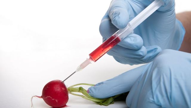 Grote biotechnologische bedrijven beargumenteren dat het gebruik van CRISPR niet hetzelfde is als een GMO