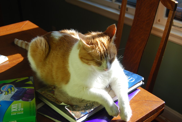 DDT Approved for Public Use by FDA