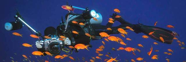 fotografia submarina
