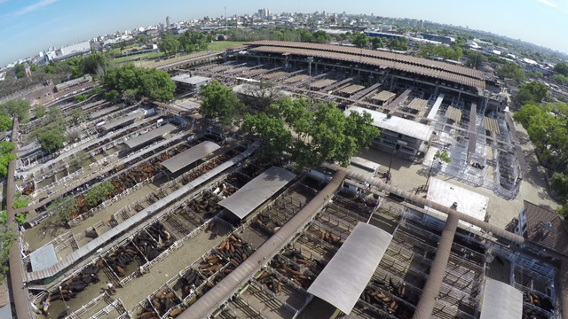 Privatización del Mercado de Hacienda de Liniers.