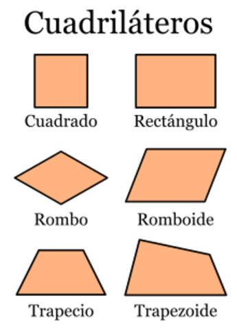 CUADRILÁTEROS