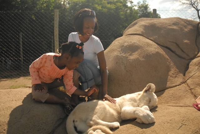 I went to south africa.