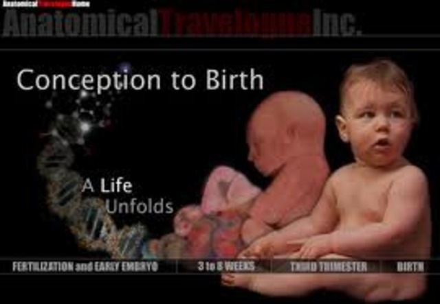 Aproximent Date of Conception