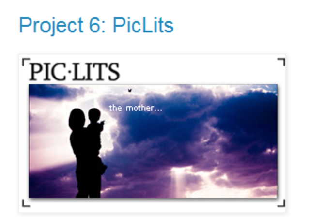 Project 6: PicLits.com