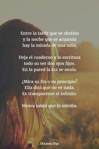 ¿Cuàl fuè la obra que destacò a Octavio Paz?