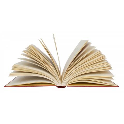 ¿Cuàndo escribio su primer libro?