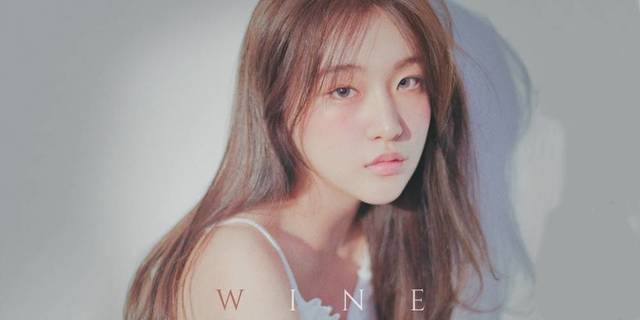 La carrera como productor