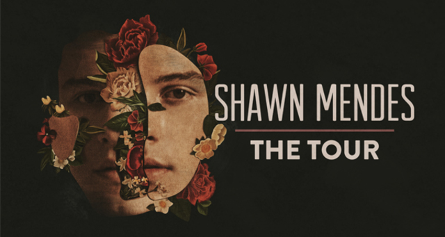 SHAWN MENDES 3 WORLD TOUR