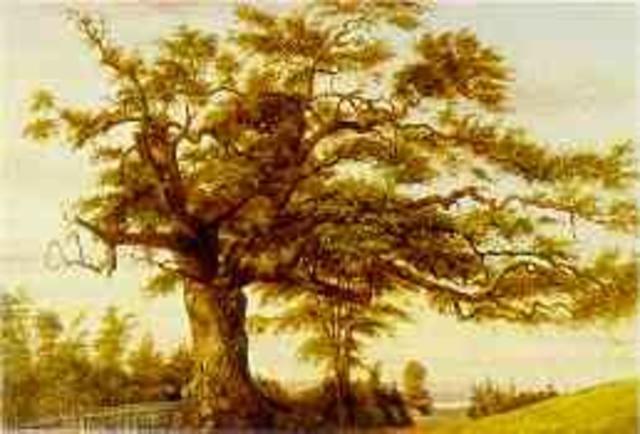 1687- Edmund Andros marches with soldiers to Connecticut