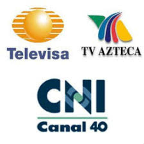 Actividades Profesionales