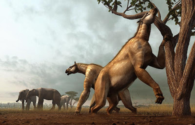 FANEROZOIC. CENOZOIC. TERCIARI