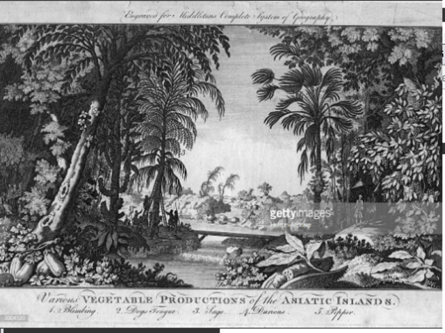 La expedición Botánica