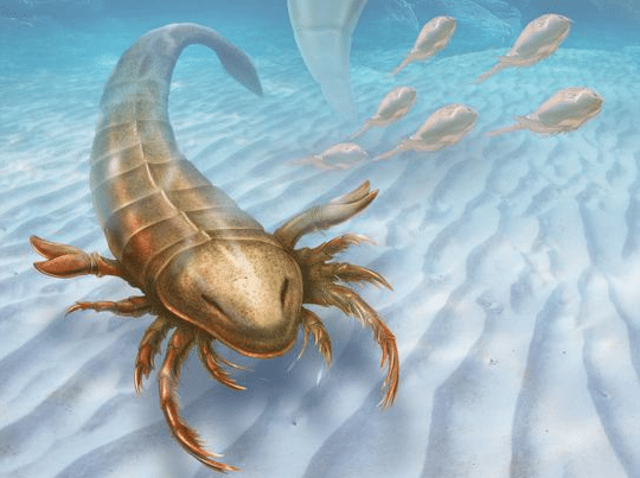 500 millones de años