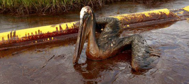 ¿Que es el Anticuerpos contra el petróleo?