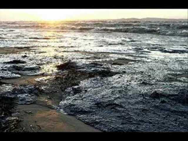 ¿En que año se origino la solucion del Anticuerpo en contra el petroleo?