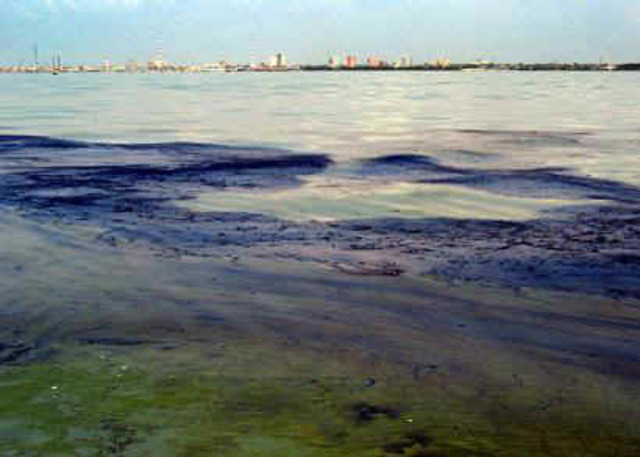 ¿A que necesidad responde el Anticuerpo en contra el petroleo