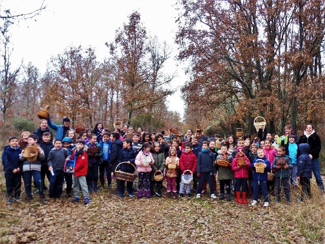 Jornadas Micológicas