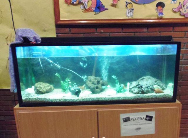 Instalación de Pecera