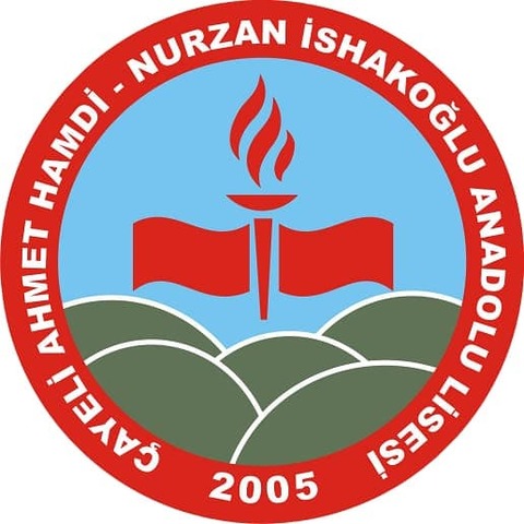 C4 Short-term exchanges of groups of pupils