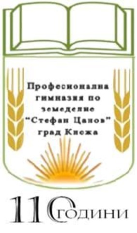 C3   Short-term exchanges of groups of pupils