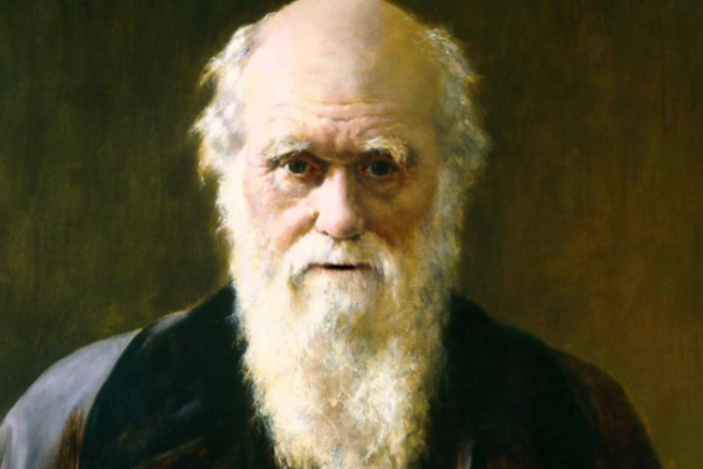 Darwin