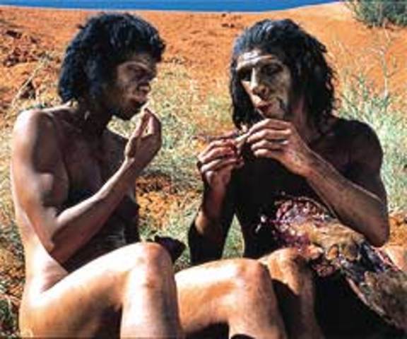 Homo erectus (cont.)