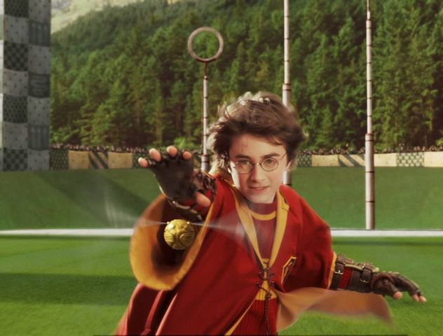 Harry joins quidditch