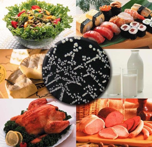 Ventajas y Desventajas