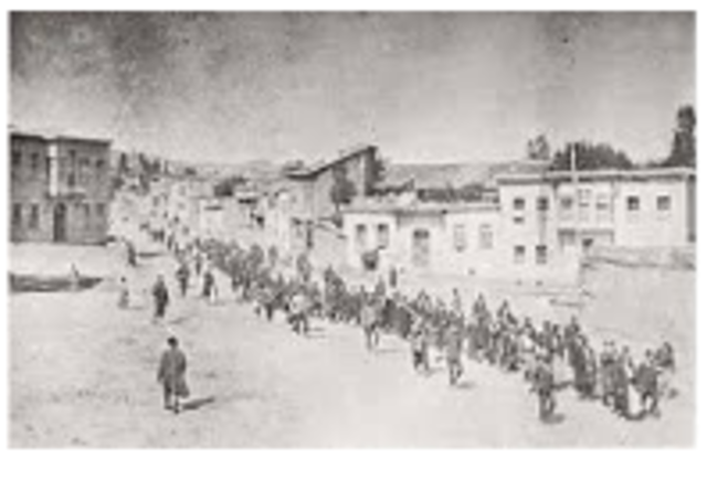 The Armenian Massacres are Denounced by Dr. Siegfried Heckscher in  Raichstag.