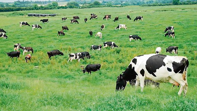 Inventos tecnológicos