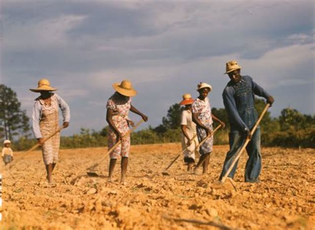 Sharecropping