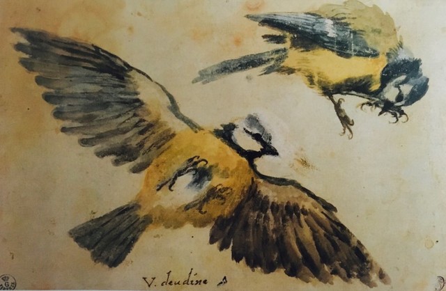 Giovanni da Udine, uccelli