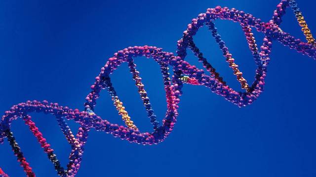 Leyes De Mendel Y La Evolucion Genetica