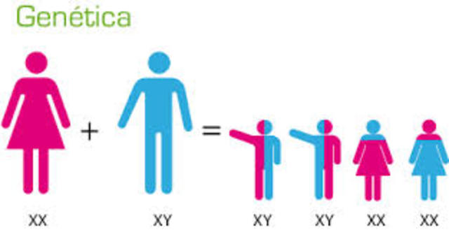 Leyes De Mendel Y La Evolucion Genetica