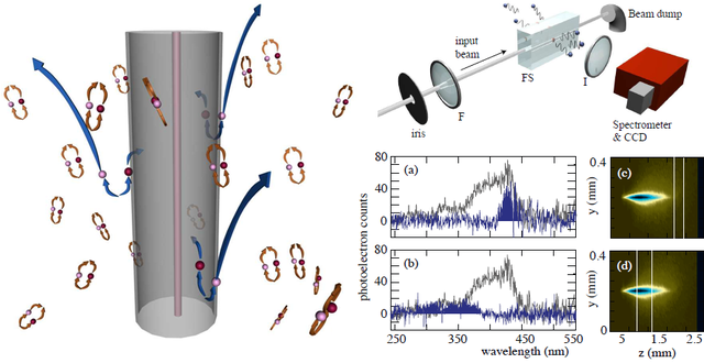 Contribution to science