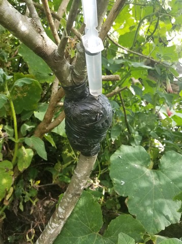 Mantenimiento en los acodos aereos