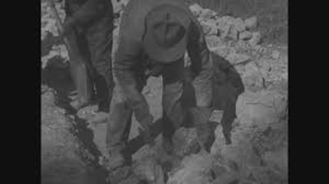 Lucey Sector (Wesselman)