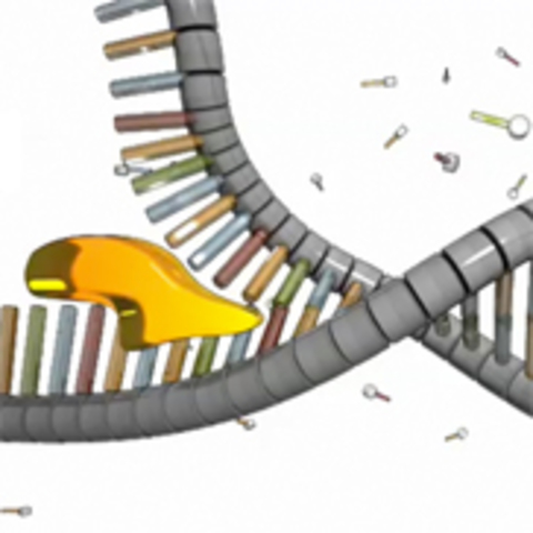 First step of replication