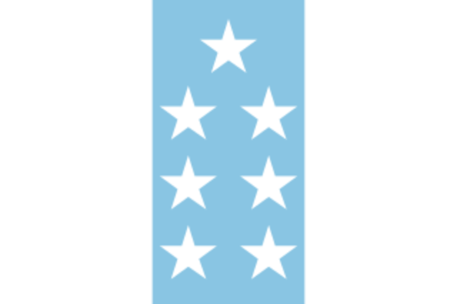 BANDERA ECUATORIANA 1845