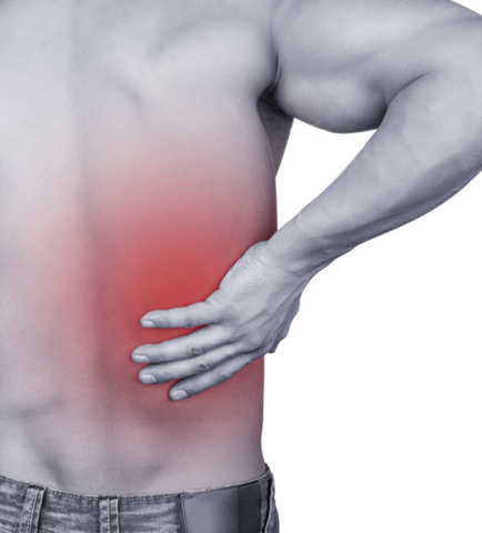 La columna vertebral de la familia