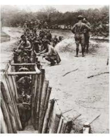 Roy Avery Discharged