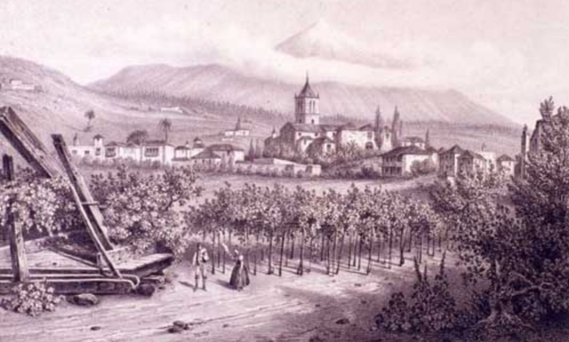 La sociedad en Canarias