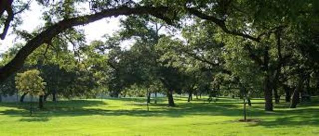 Nature and Architecture