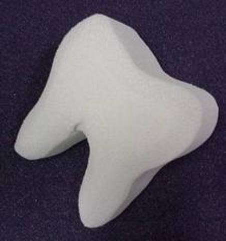 Me perdí mi diente primer.