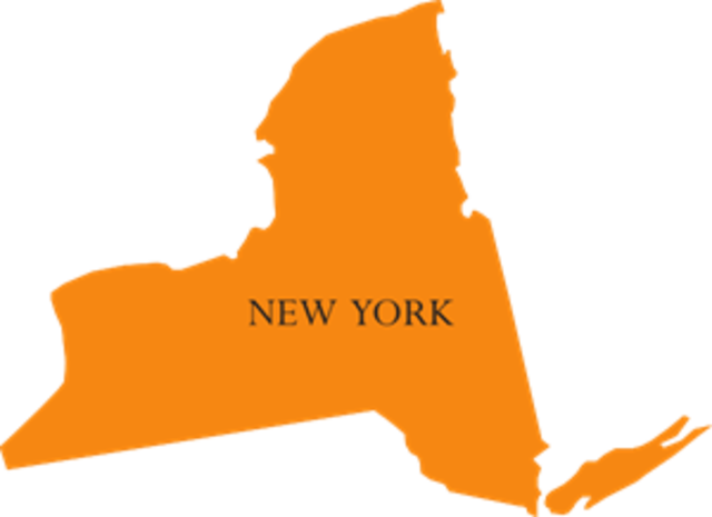 The colony of New York