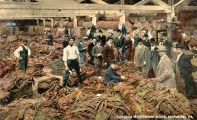 Tobacco in Virginia