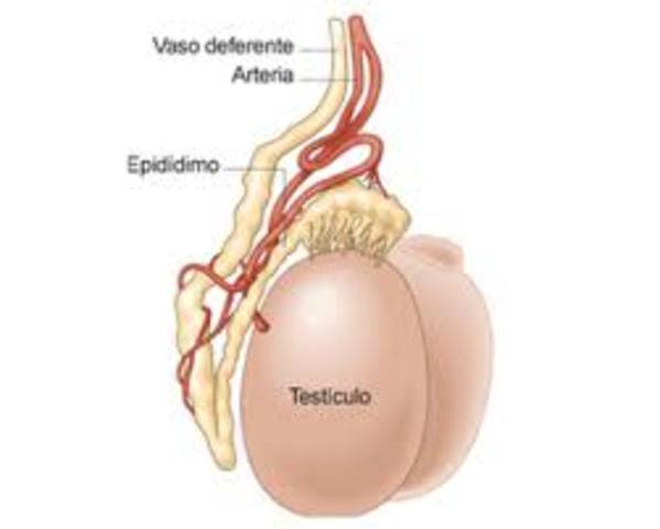 UNO MAS UNO ES IGUAL DOS