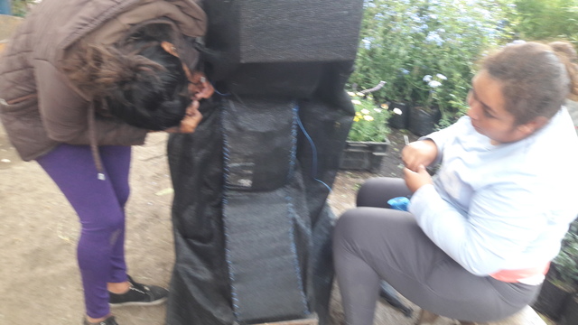 CUBIERTA CON SARAN (2)